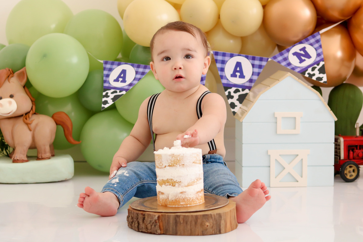 smash the cake fazendinha