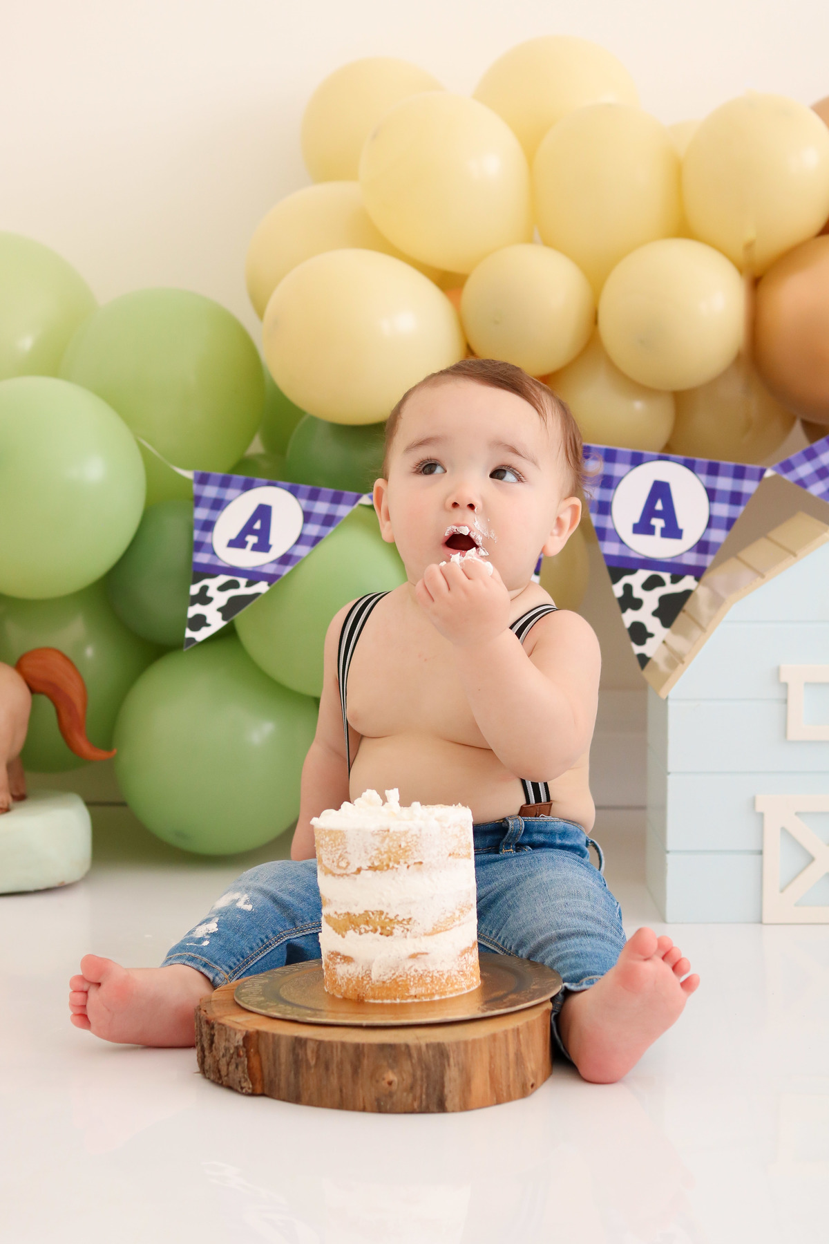 smash the cake fazendinha