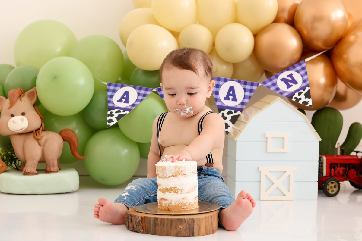 smash the cake fazendinha