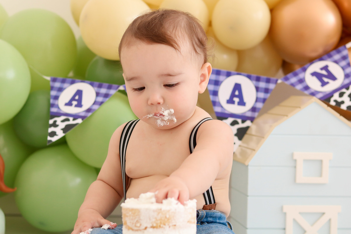 smash the cake fazendinha