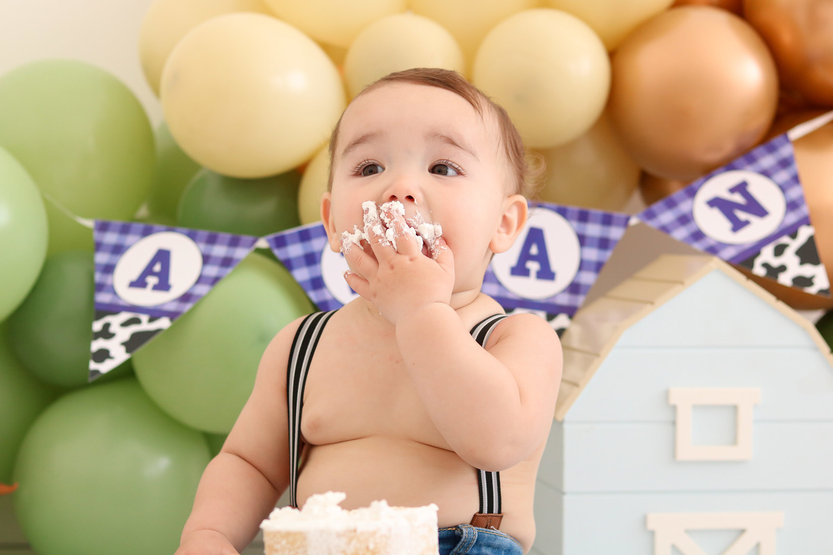 smash the cake fazendinha