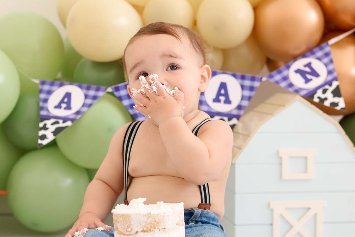 smash the cake fazendinha