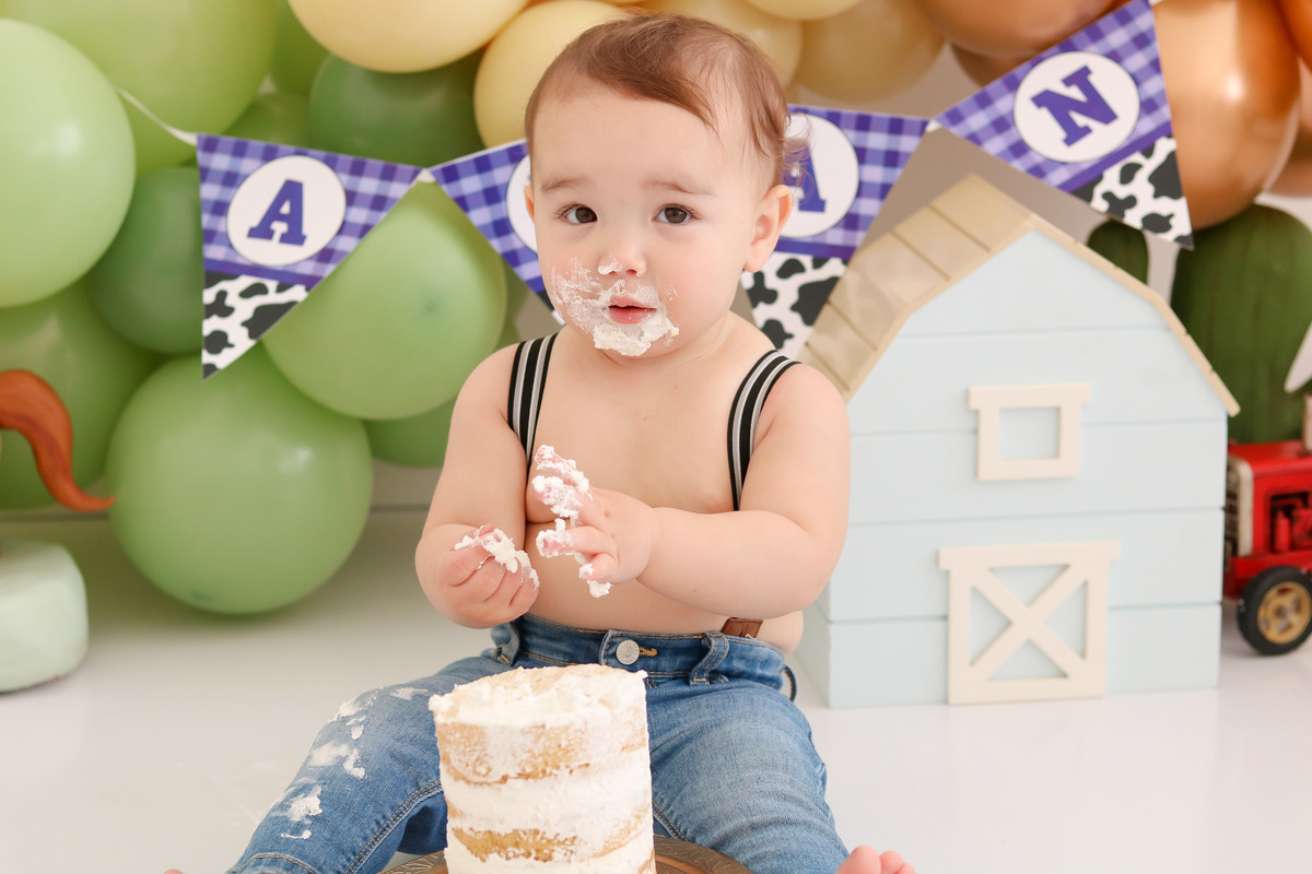 smash the cake fazendinha