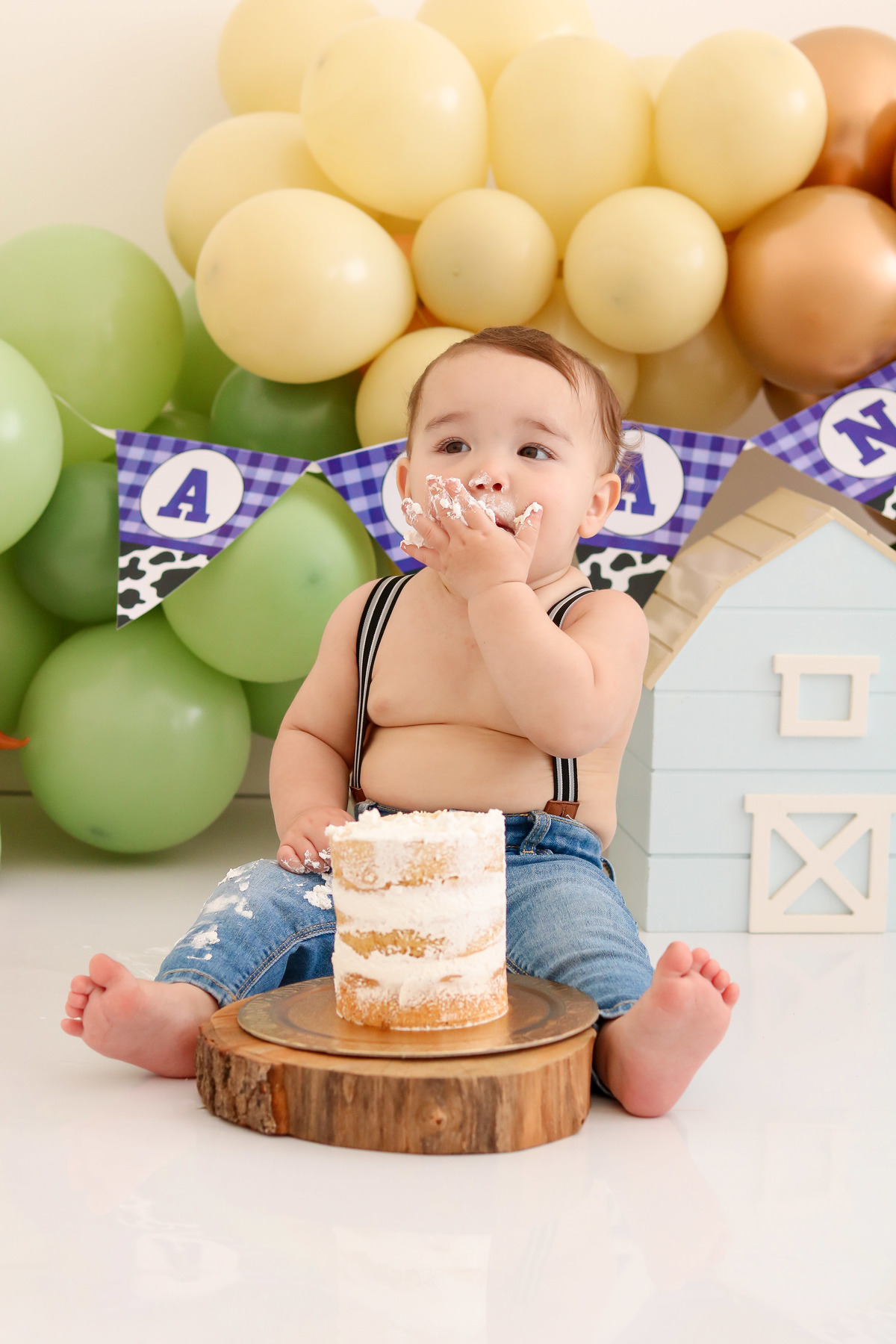 smash the cake fazendinha