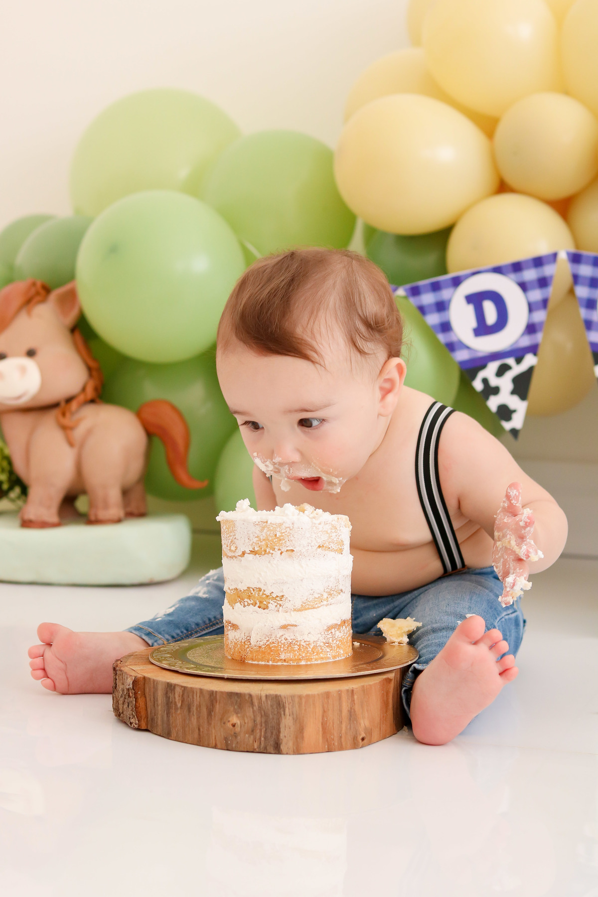 smash the cake fazendinha