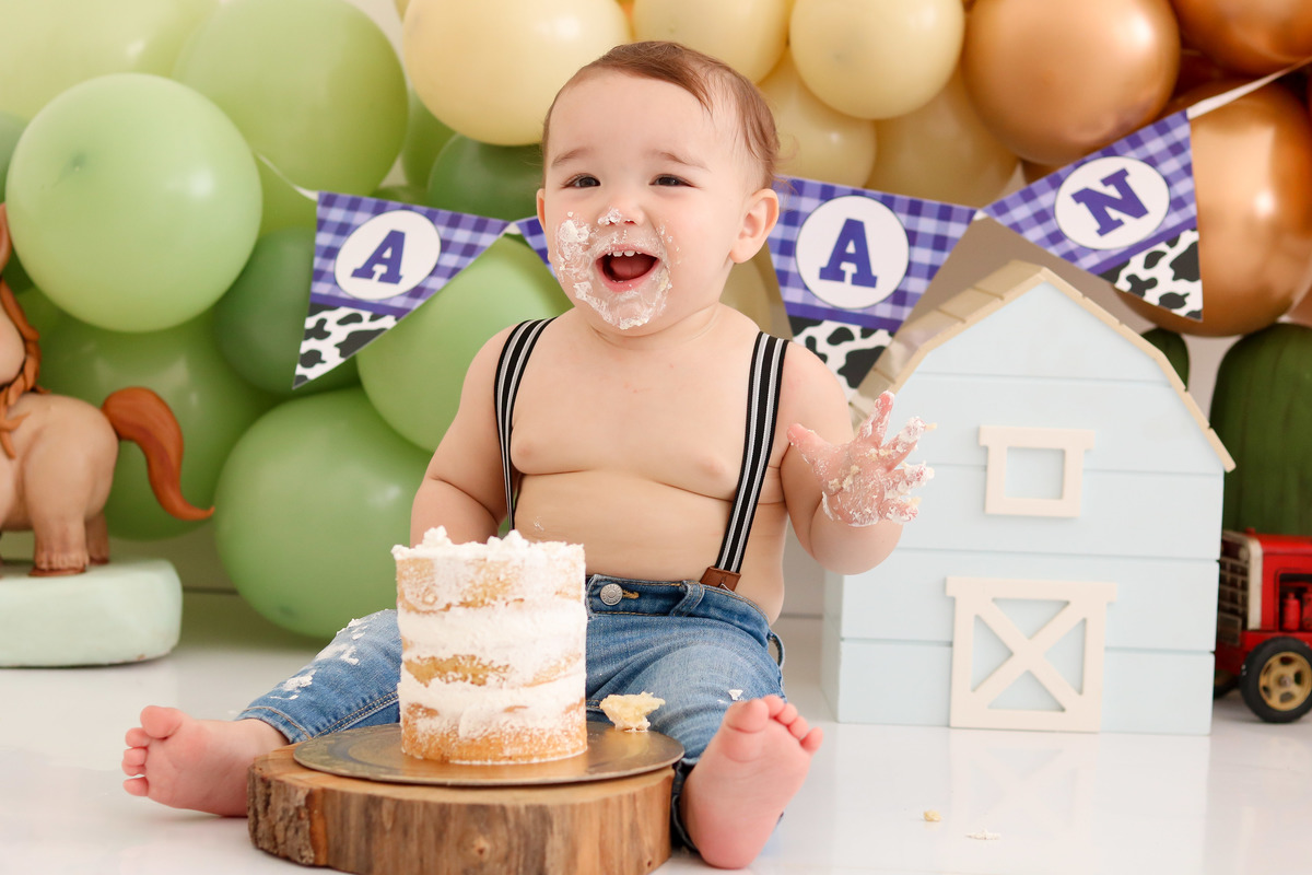 smash the cake fazendinha