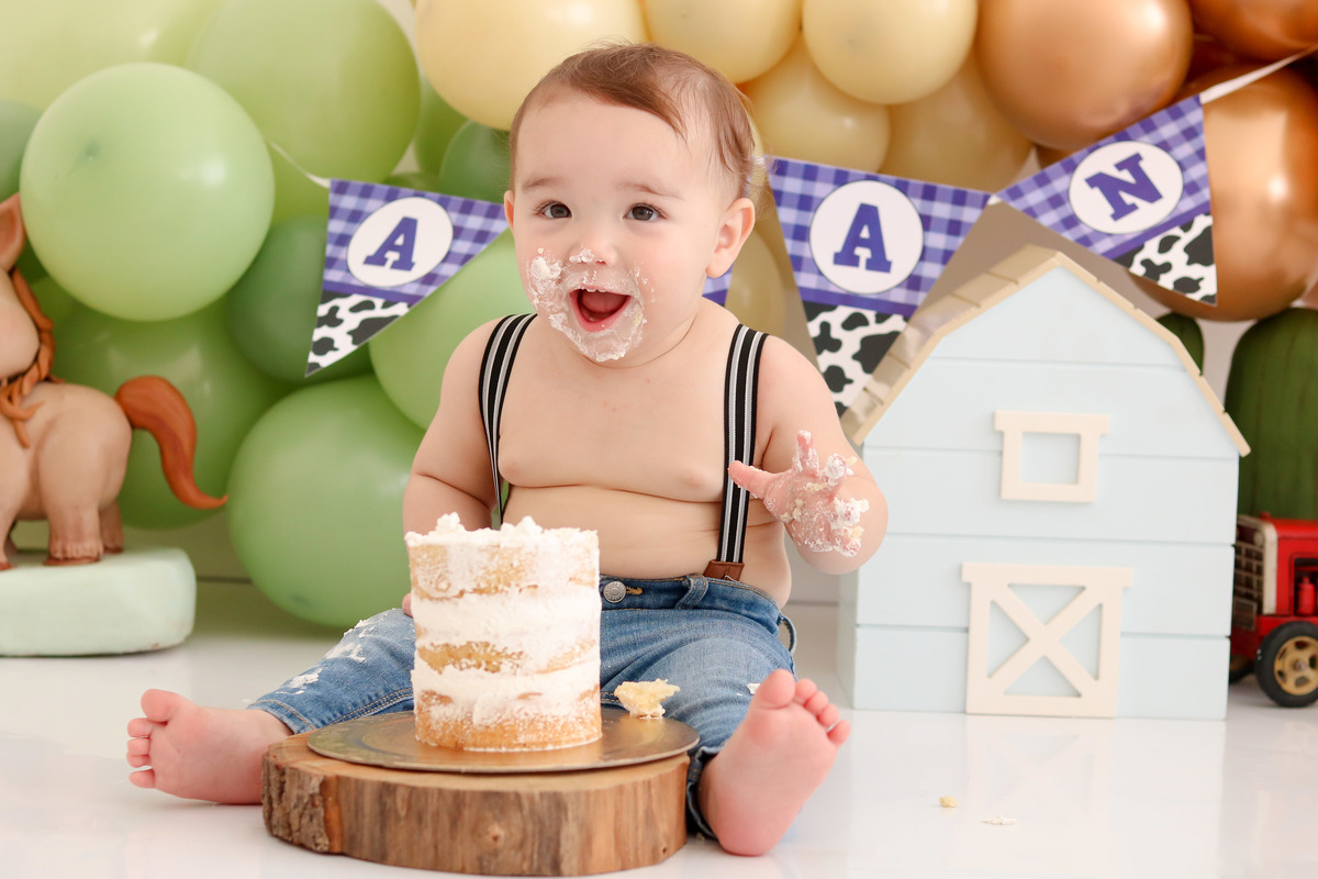 smash the cake fazendinha