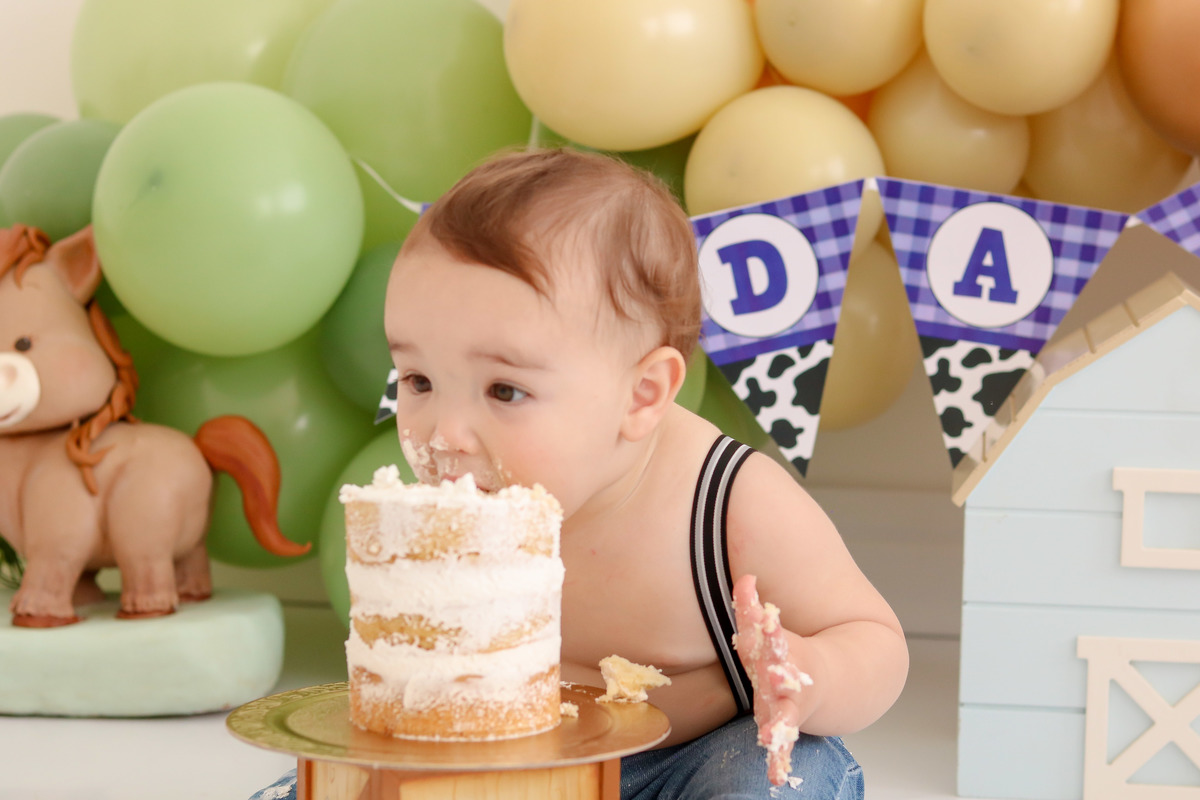 smash the cake fazendinha