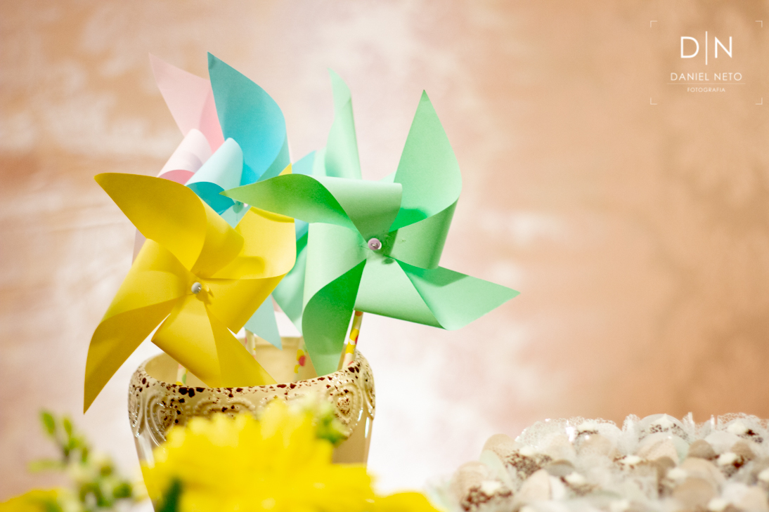 aniversario elena festa comida bebida bolo família amigos presentes alegria foto parabéns comemoração velas docinhos salgadinhos alegria fotografia