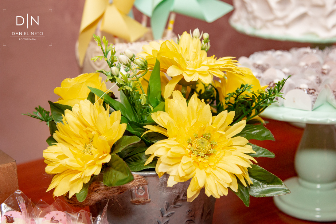 aniversario elena festa comida bebida bolo família amigos presentes alegria foto parabéns comemoração velas docinhos salgadinhos alegria fotografia