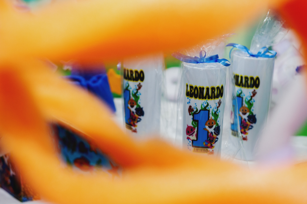 1 aninho do Leonardo 