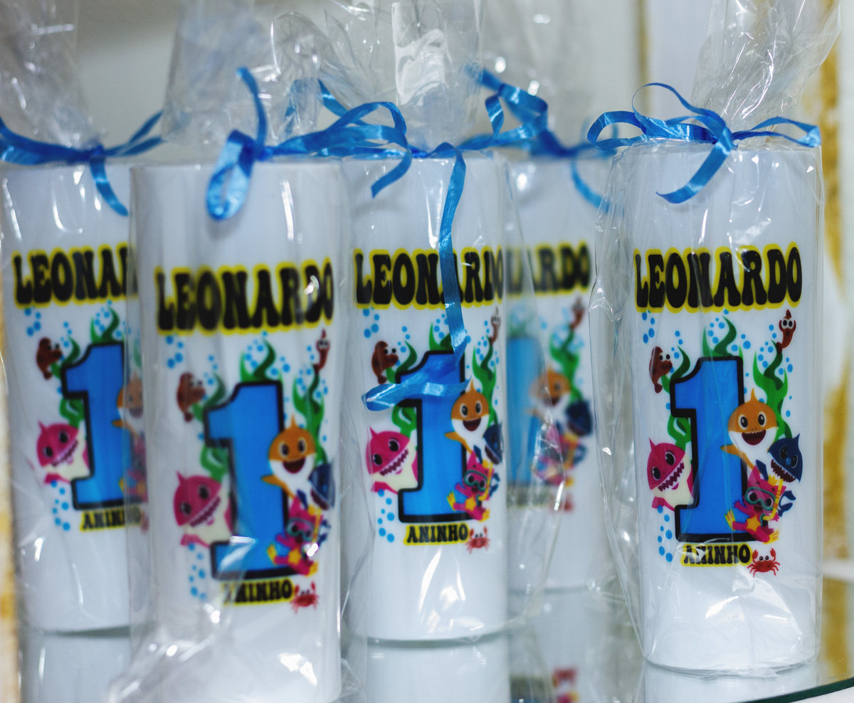 1 aninho do Leonardo 