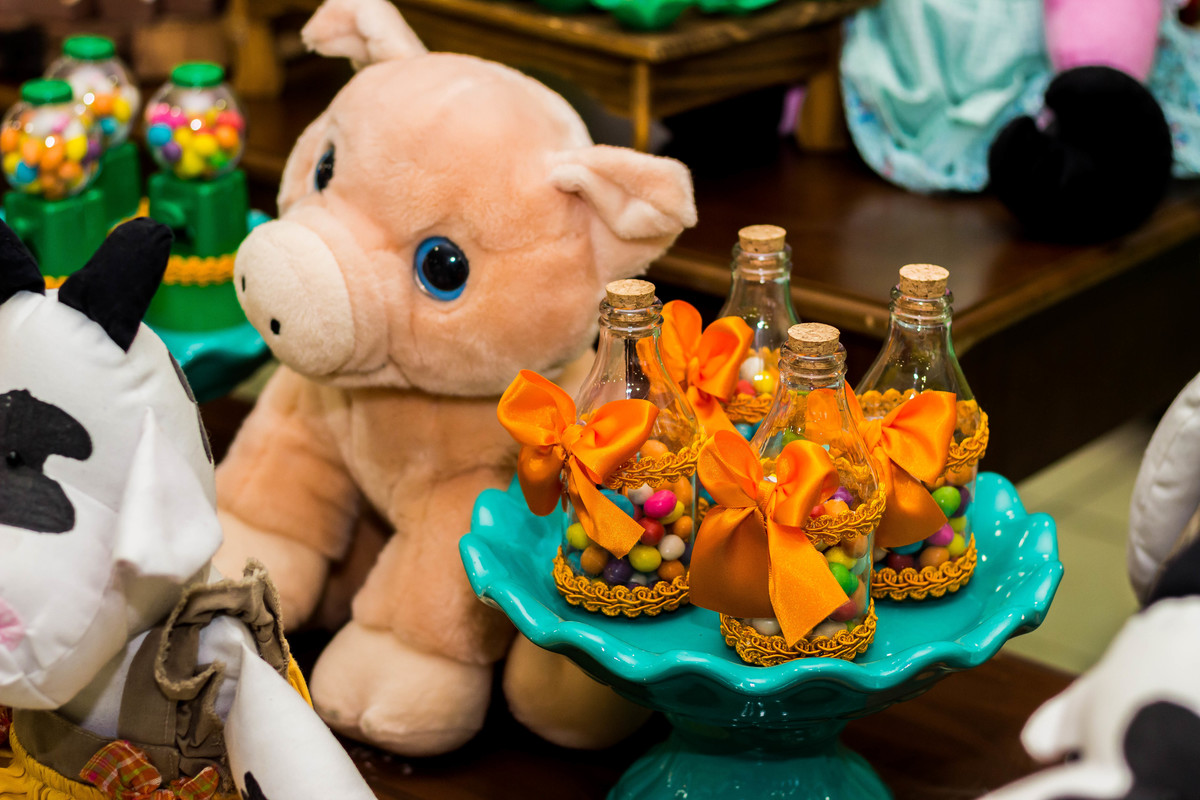 1 aninho do João Gabriel 