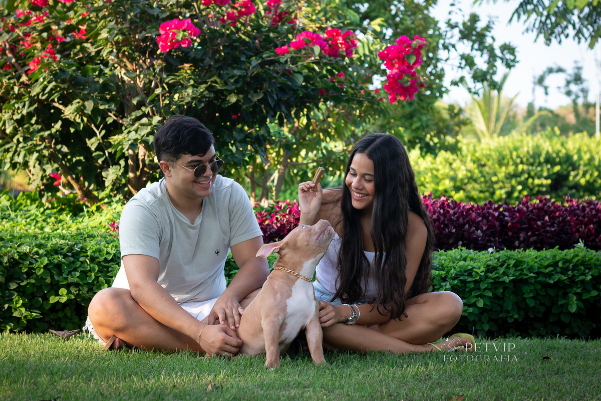 Ensaio pet ao ar livre Golf