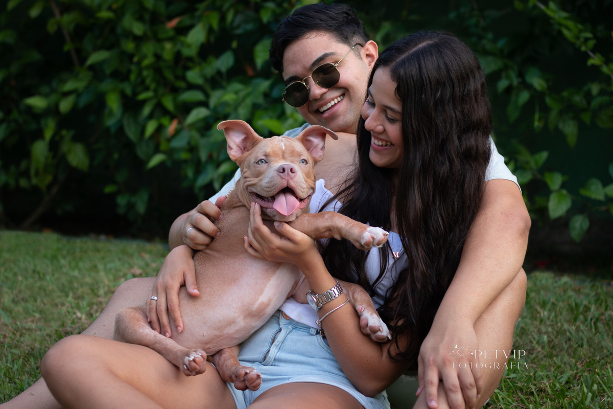 Ensaio pet ao ar livre Golf
