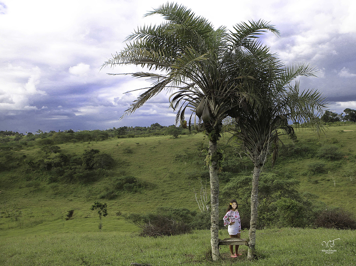 fotografia de 15 a debutante entre árvores