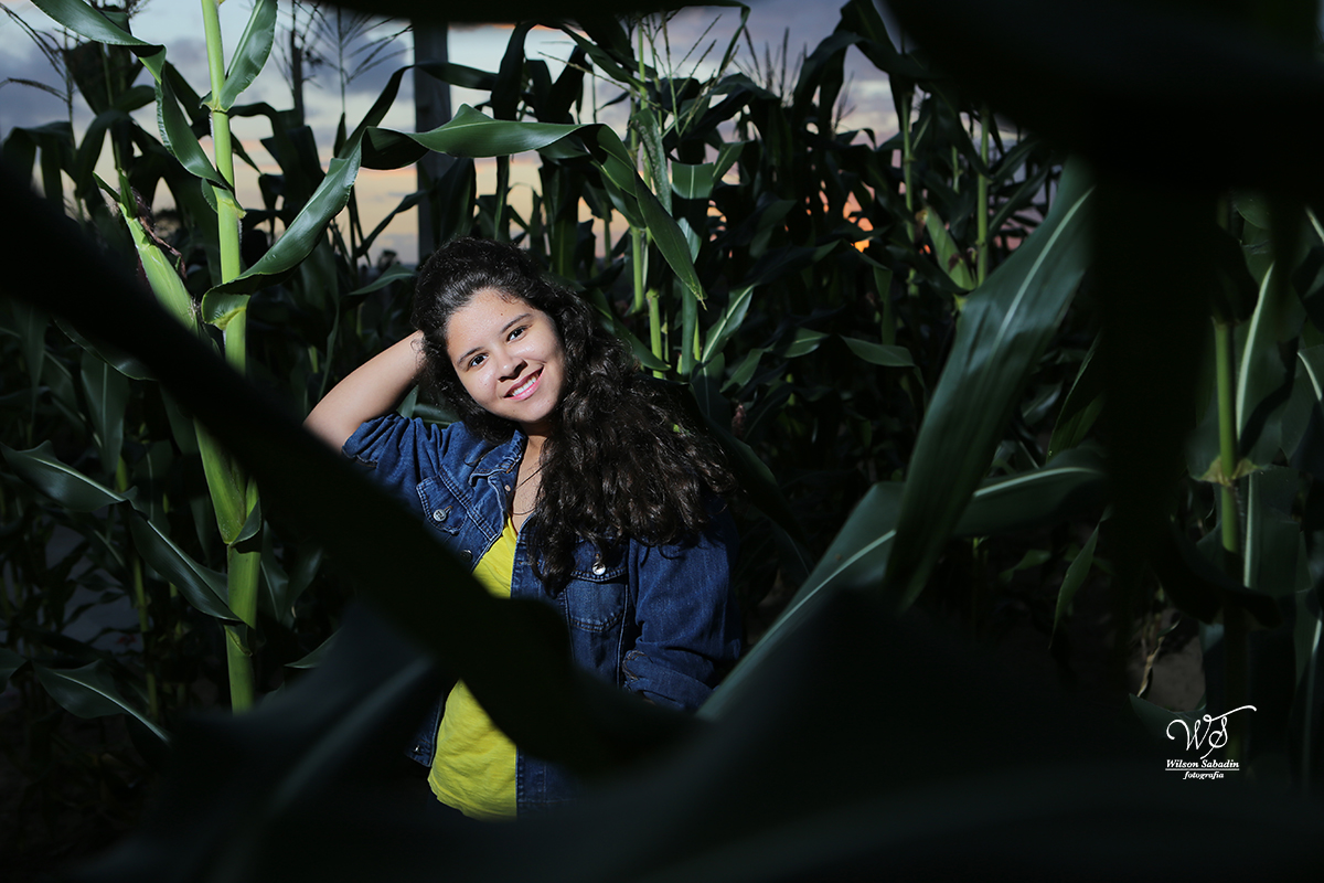 fotografia de 15 a debutante no milharal
