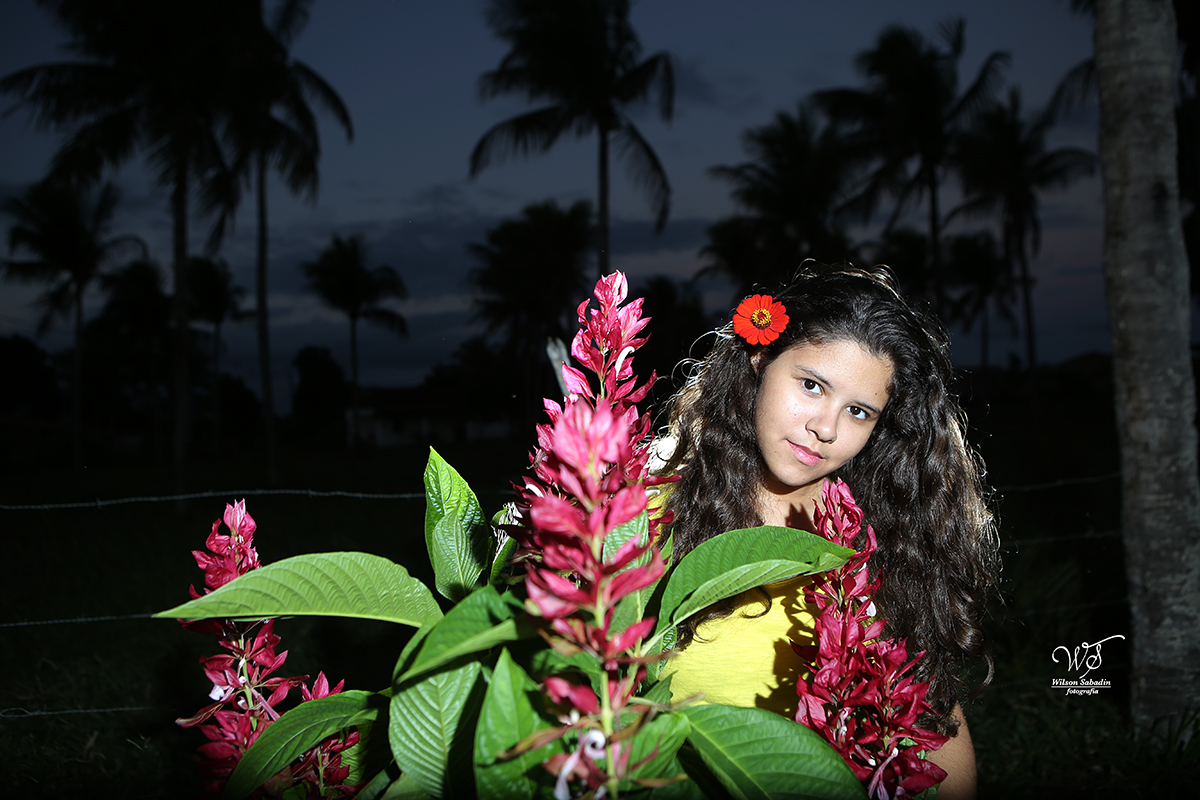 fotografia de 15 a debutante atrás das flores vermelhas