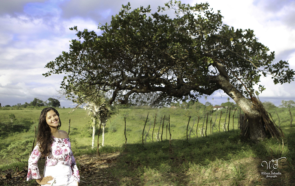 fotografia de 15 a debutante ao lado do pé de cajú