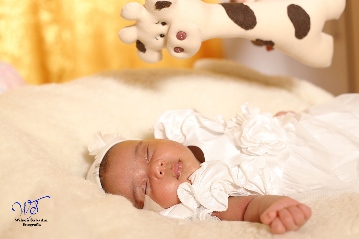 Fotografia de newborn em Salvador, com o bicho de pelúcia olhando o bebê