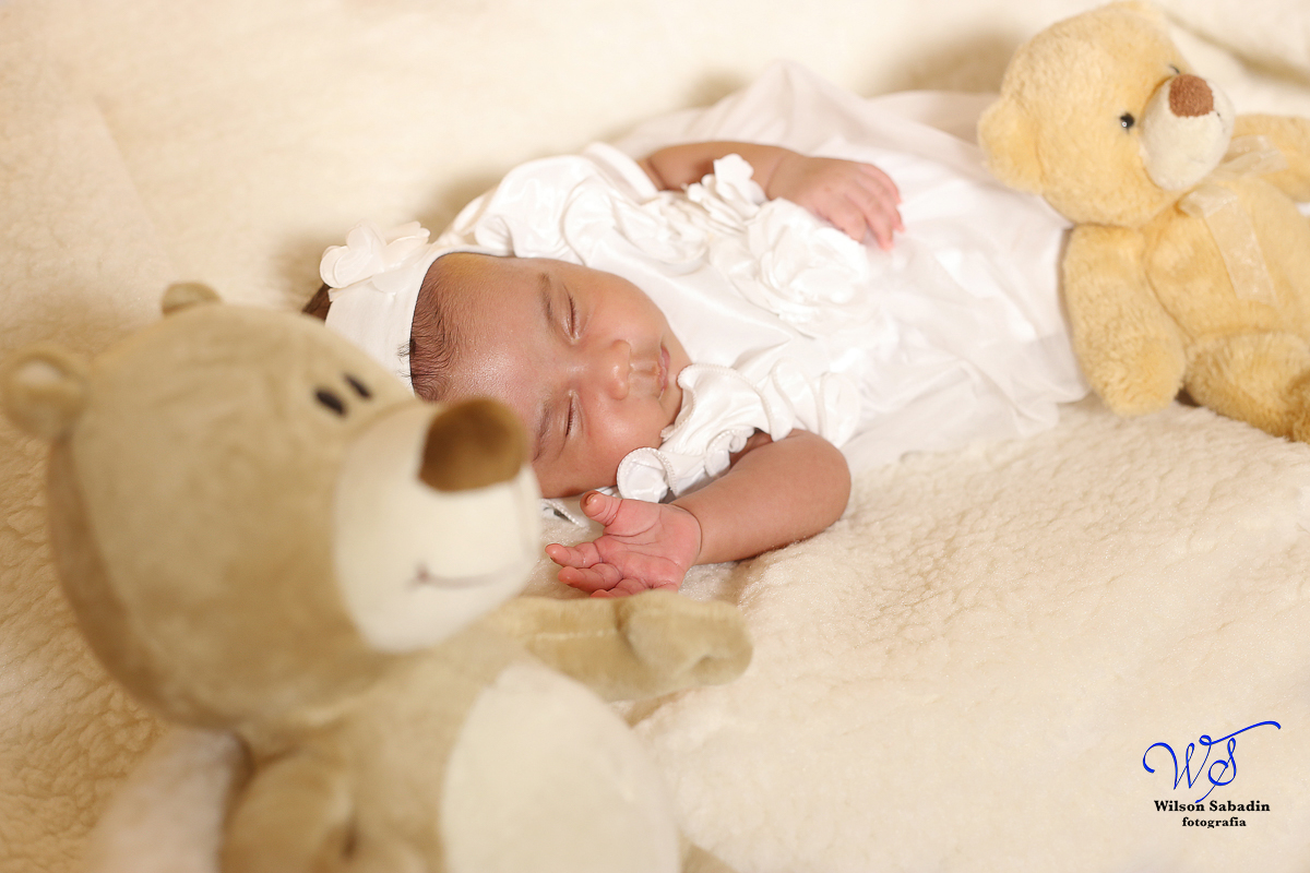 Fotografia de newborn em Salvador, o bebe entre os bichos de pelúcia
