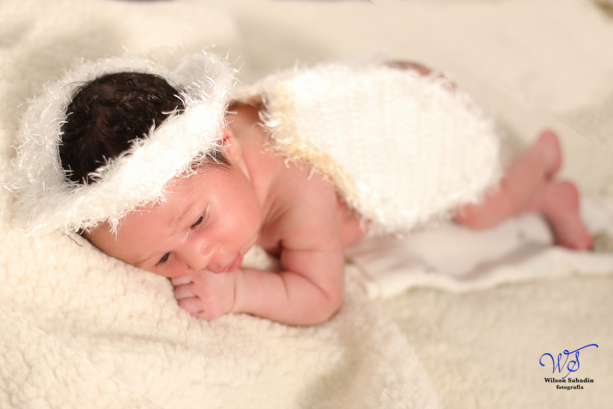 Fotografia de newborn em Salvador, o bebe com asa de anjo