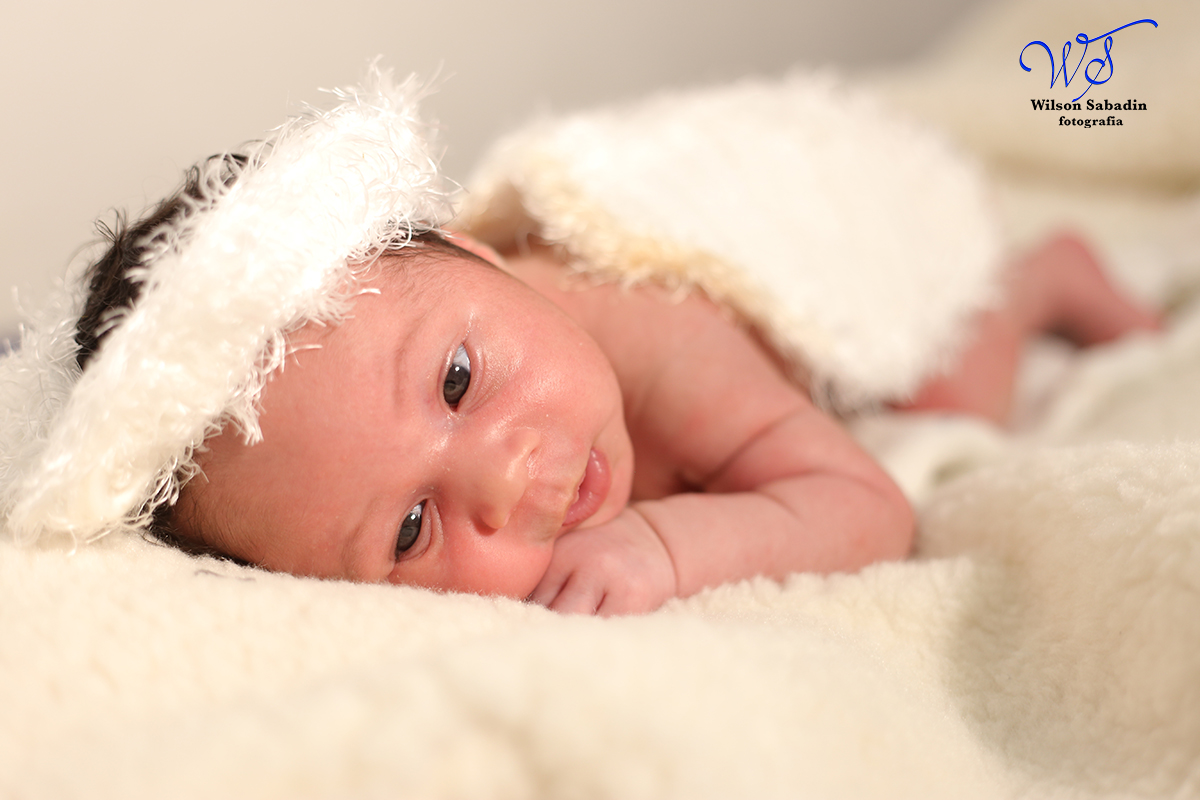 Fotografia de newborn em Salvador, o bebe com asa e anjo