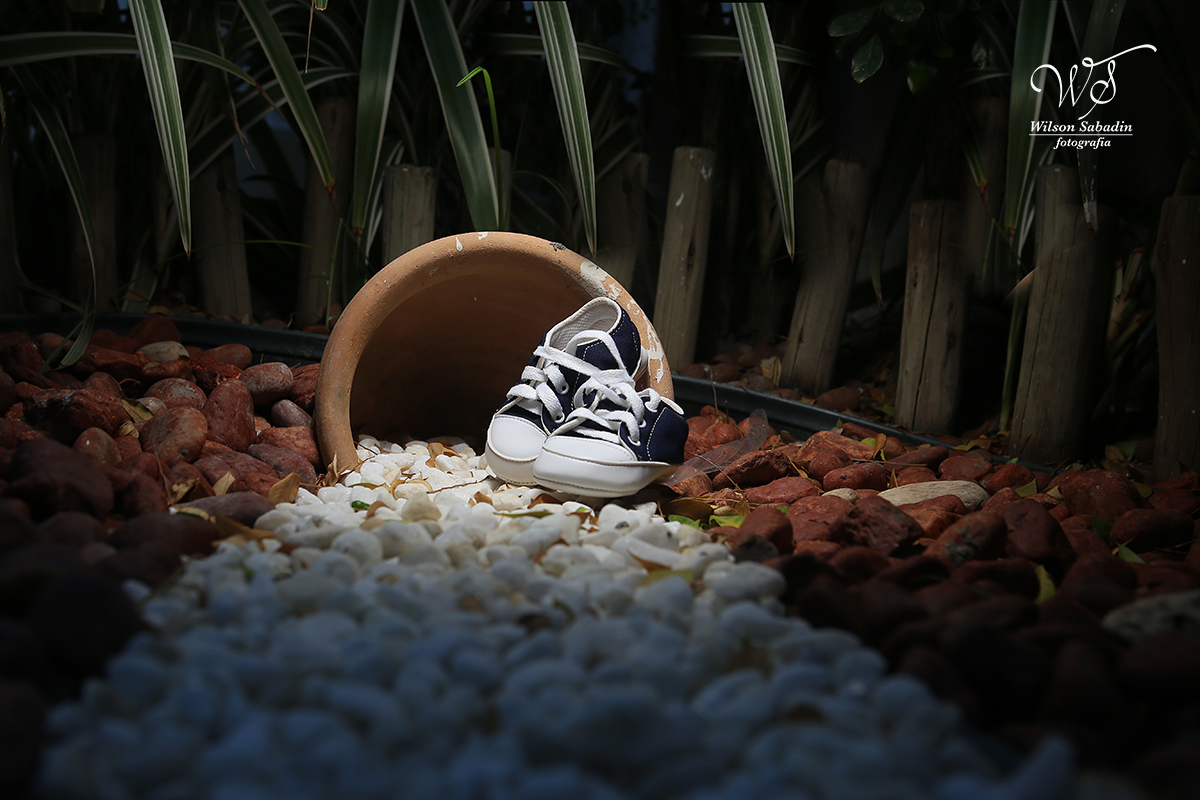 fotografia de gravidez, Fotografia Gestante em Salvador Ba, fotografo de gestante, mãe, gravidez, ensaio de gestante., sapatinhos no jardim