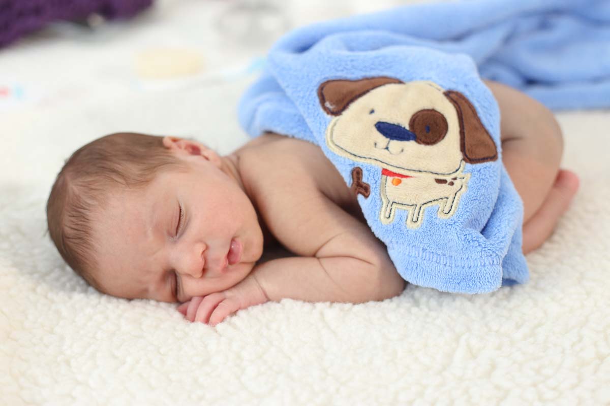 Fotografia de newborn em Salvador, com a mata