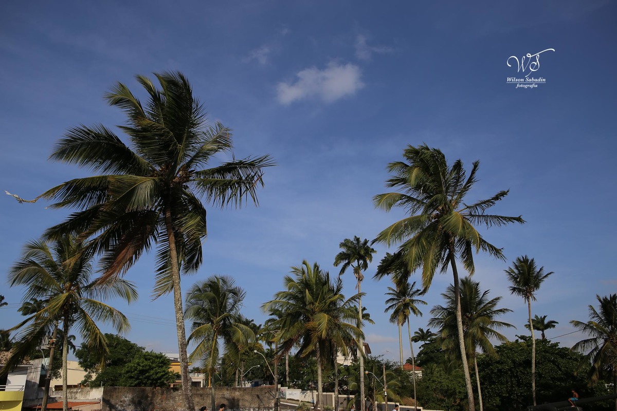 ensaio fotográfico pré-casamento, noivos, noiva, noivo, fotografia de noivos, fotografia pré-wedding, pré wedding, ensaio fotografico na Ponta do Humaitá em Salvador Bahia, Forte , Igreja nossa Senhora  do Mont Serrat, P