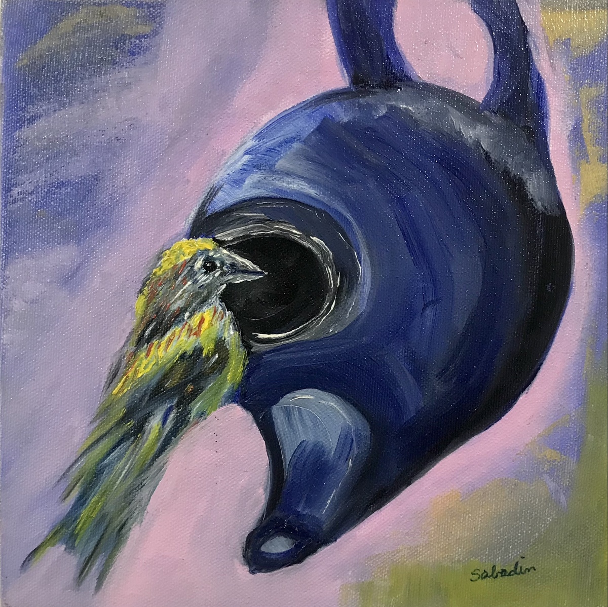 pássaro cuidando do ninho