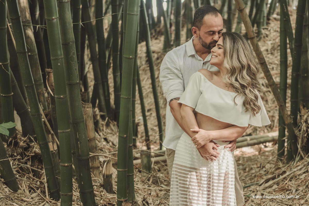 ensaio entre bambuzal do aeroporto de salvador 