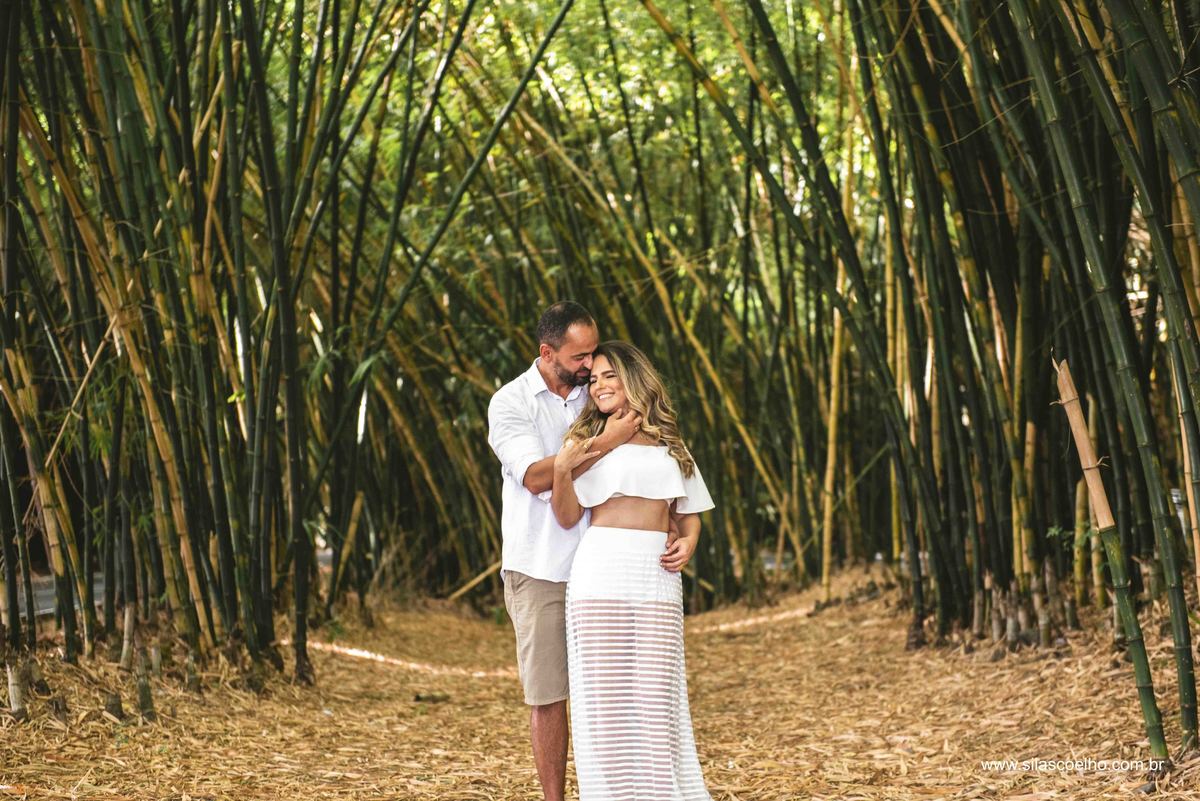 fotos entre bambuzal do aeroporto de salvador 