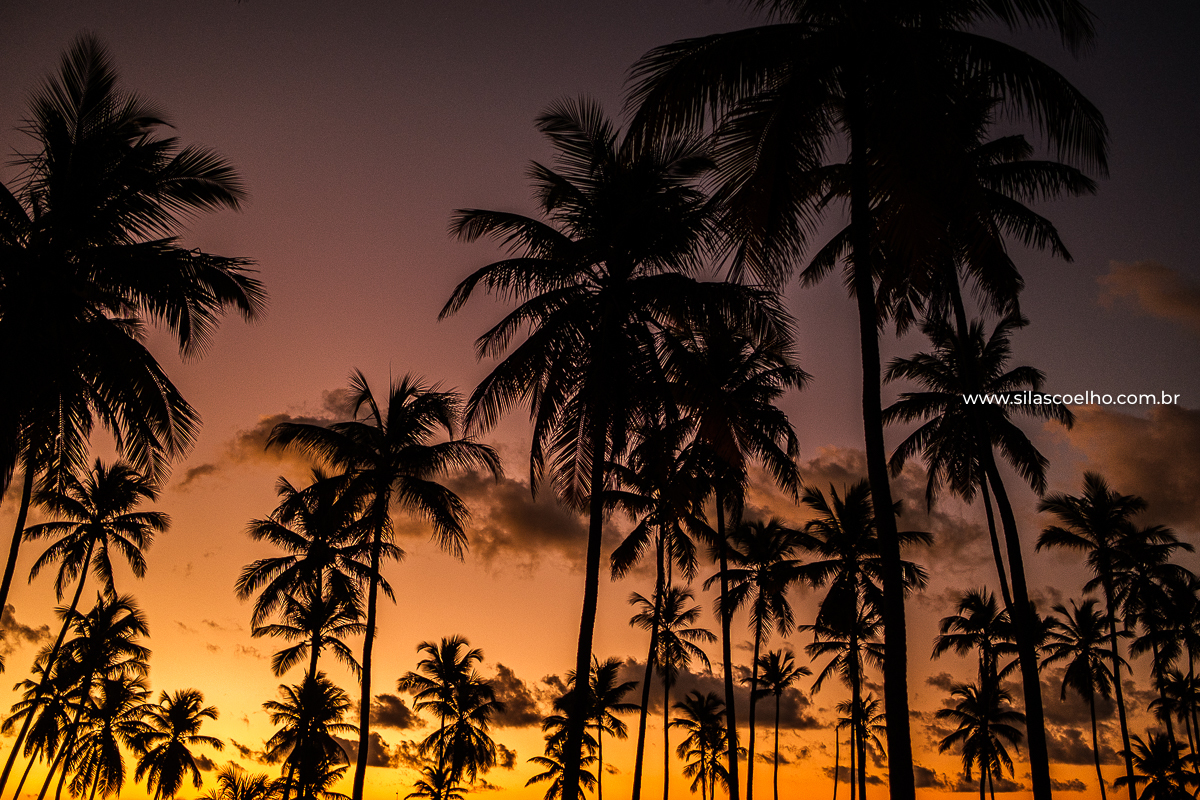 Fotos de casal no pre wedding no grand palladium imbassaí resort & spa bahia