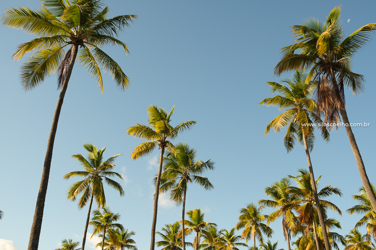 Fotos de casal no pre wedding no grand palladium imbassaí resort & spa bahia