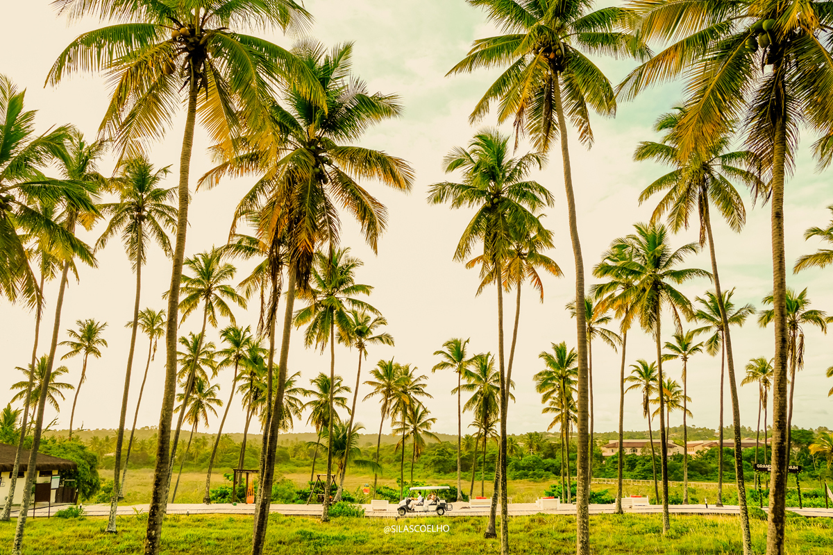 noiva chegando no carrinho de golf no seu casamento na praia para o elompmente wedding destination no por do sol e com pé na areia