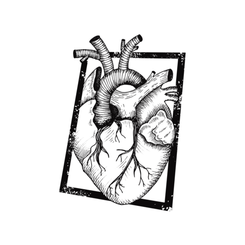 Logotipo de André de Albuquerque