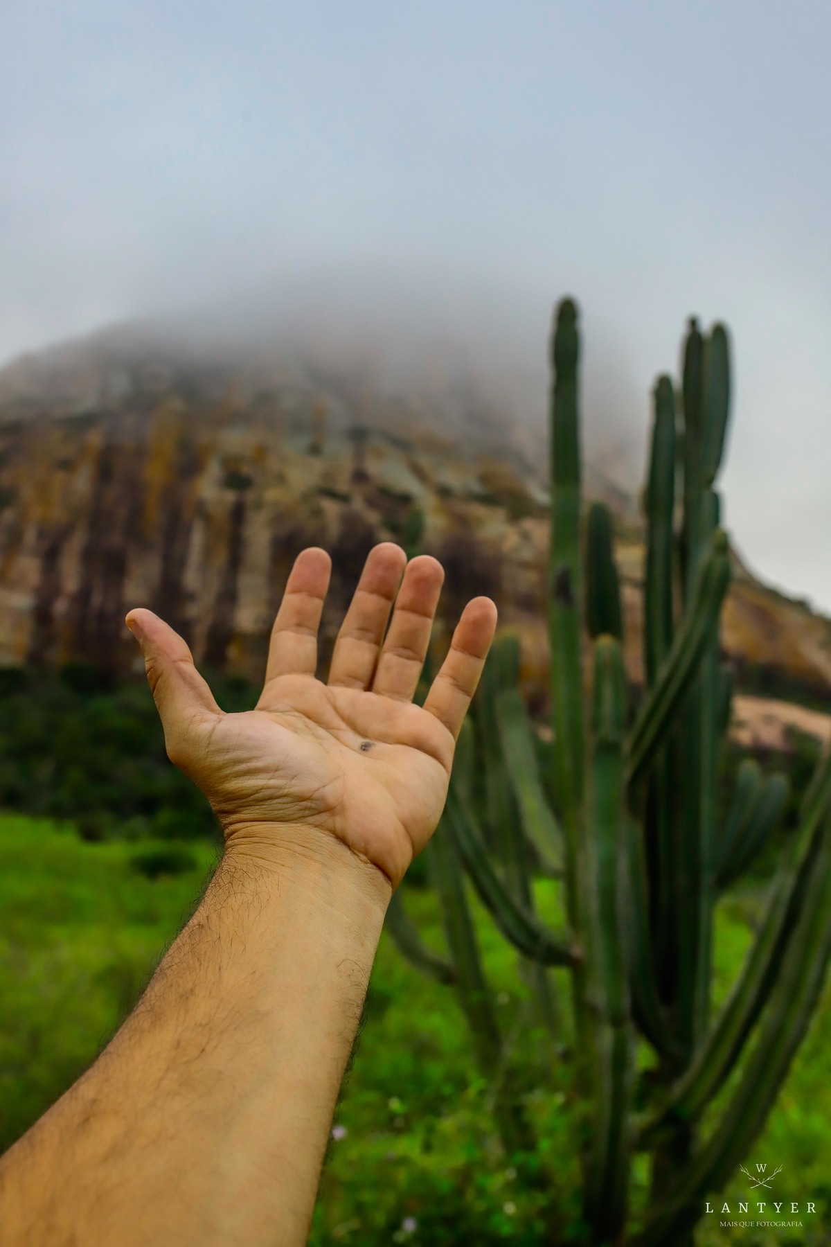 Queimadas, Bahia, Brasil, Josiel Batista Forró da Bahia, Forró Baiano, Fotógrafo em Feira de Santana, Fotografia, Arte, Queimadas Bahia