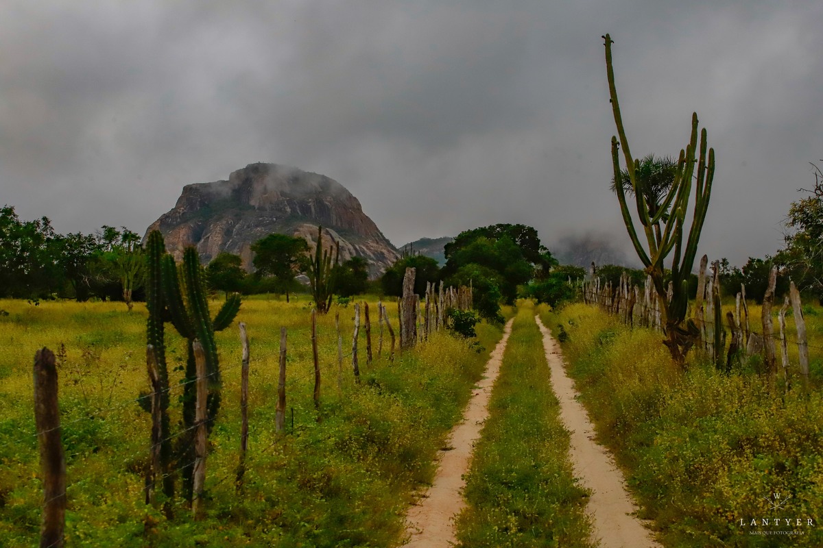 Queimadas, Bahia, Brasil, Josiel Batista Forró da Bahia, Forró Baiano, Fotógrafo em Feira de Santana, Fotografia, Arte, Queimadas Bahia