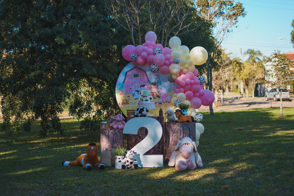 fotografo-em-osorio-rio-grande-do-sul-aniversario-2-aninhos-gemeas-externo-praca