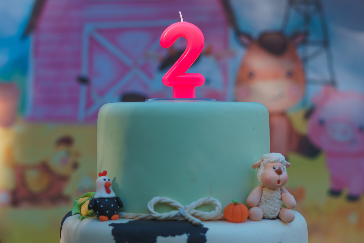 fotografo-em-osorio-rio-grande-do-sul-aniversario-2-aninhos-gemeas-externo-praca