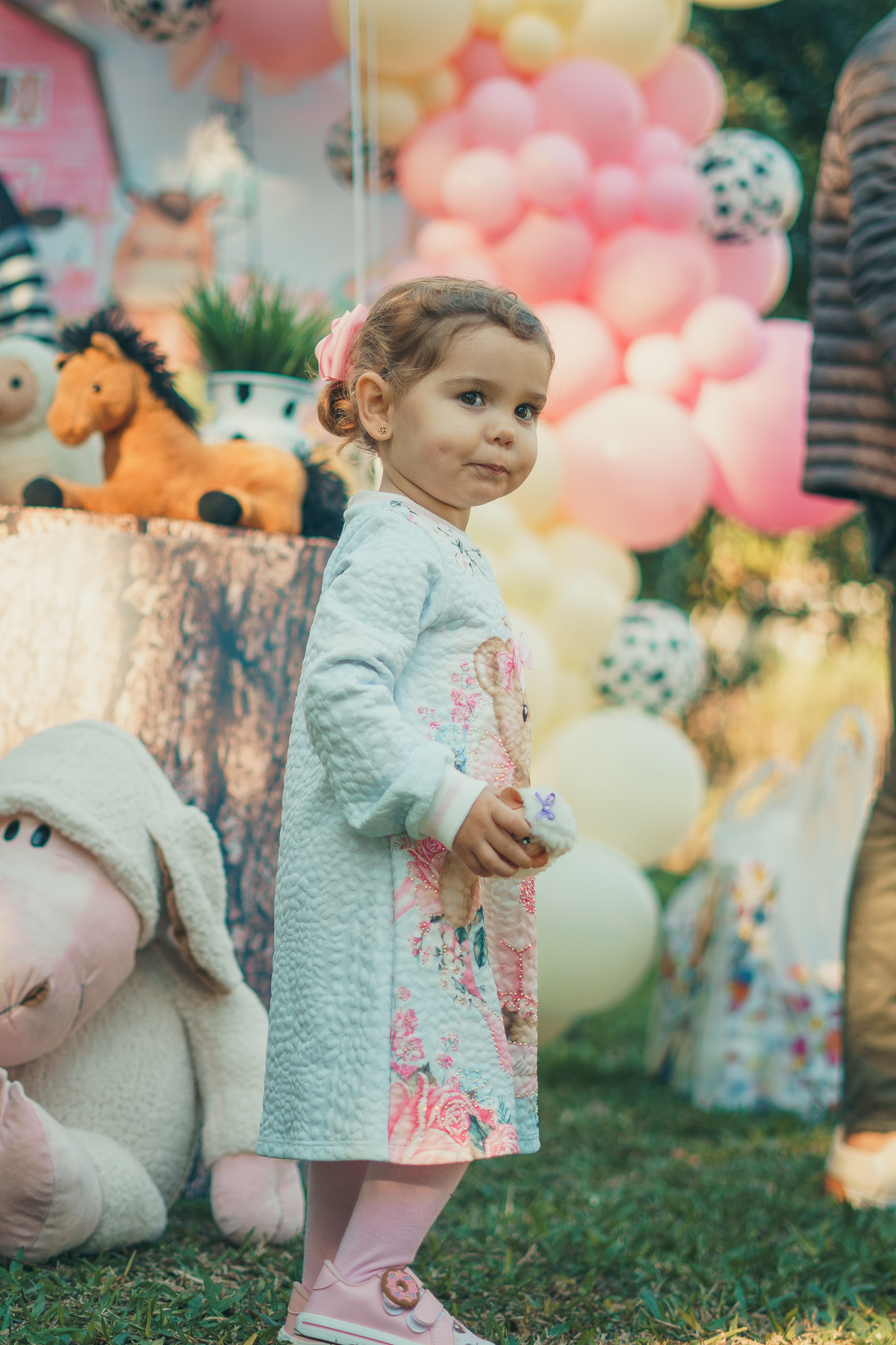 fotografo-em-osorio-rio-grande-do-sul-aniversario-2-aninhos-gemeas-externo-praca