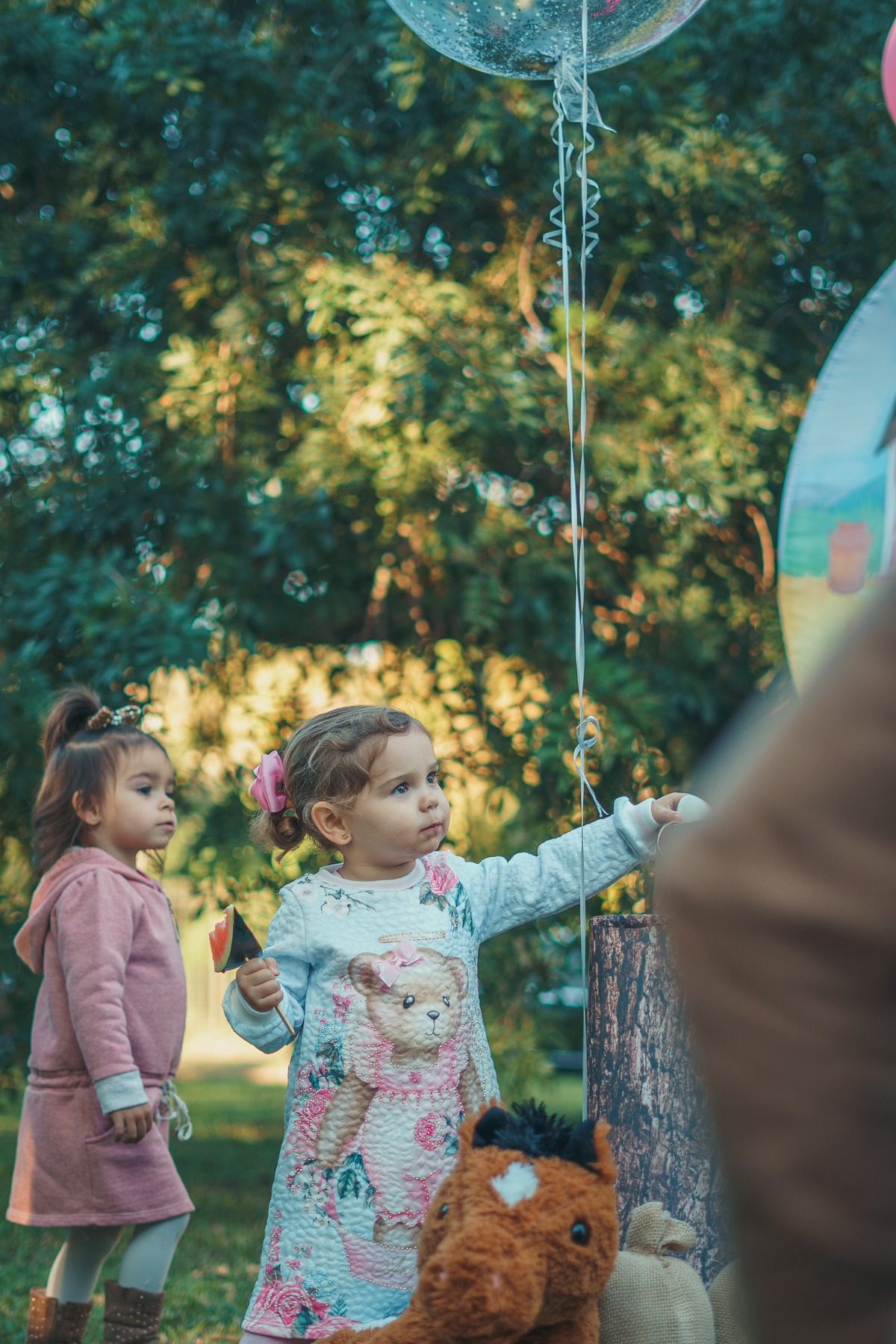 fotografo-em-osorio-rio-grande-do-sul-aniversario-2-aninhos-gemeas-externo-praca