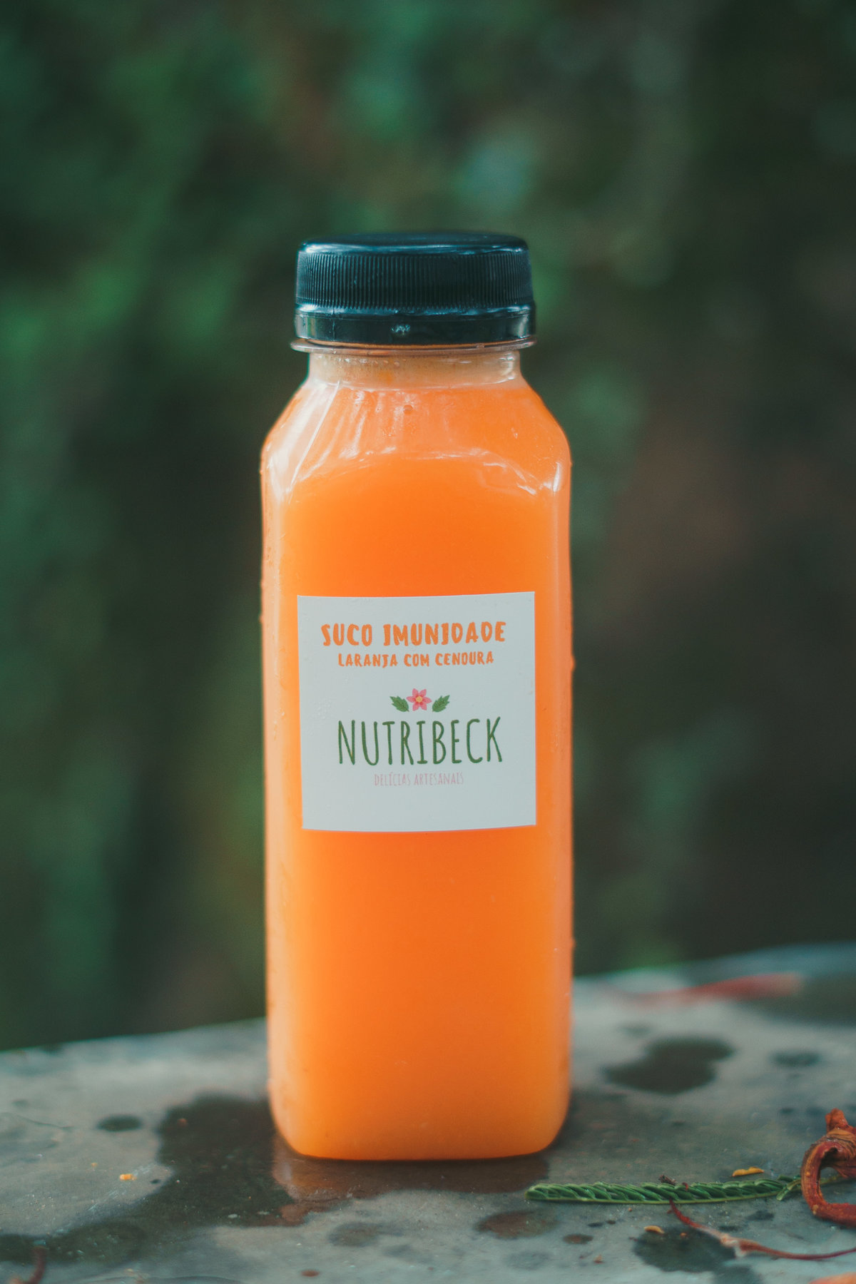 fotografo-em-osorio-rio-grande-do-sul-ensaio-empresarial-comida-saudavel