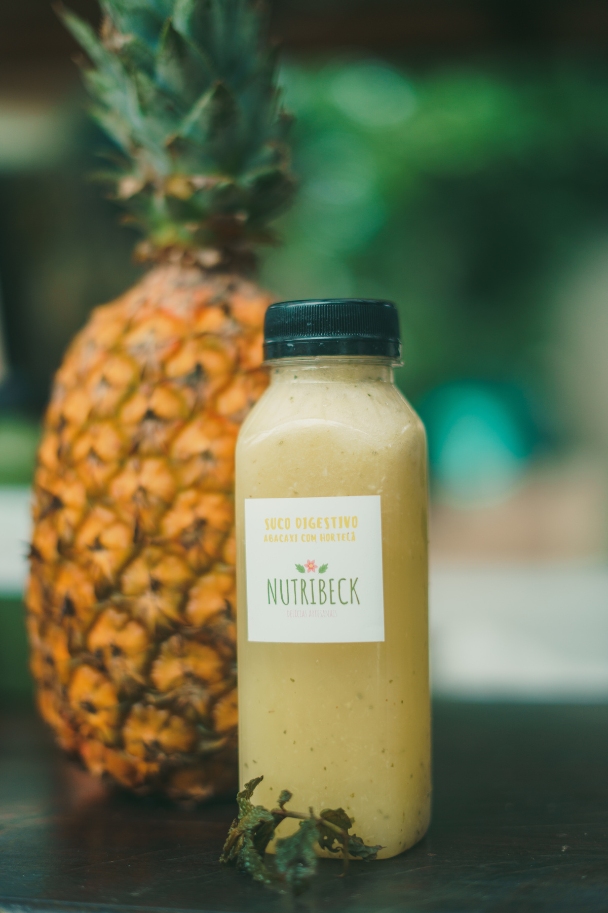 fotografo-em-osorio-rio-grande-do-sul-ensaio-empresarial-comida-saudavel