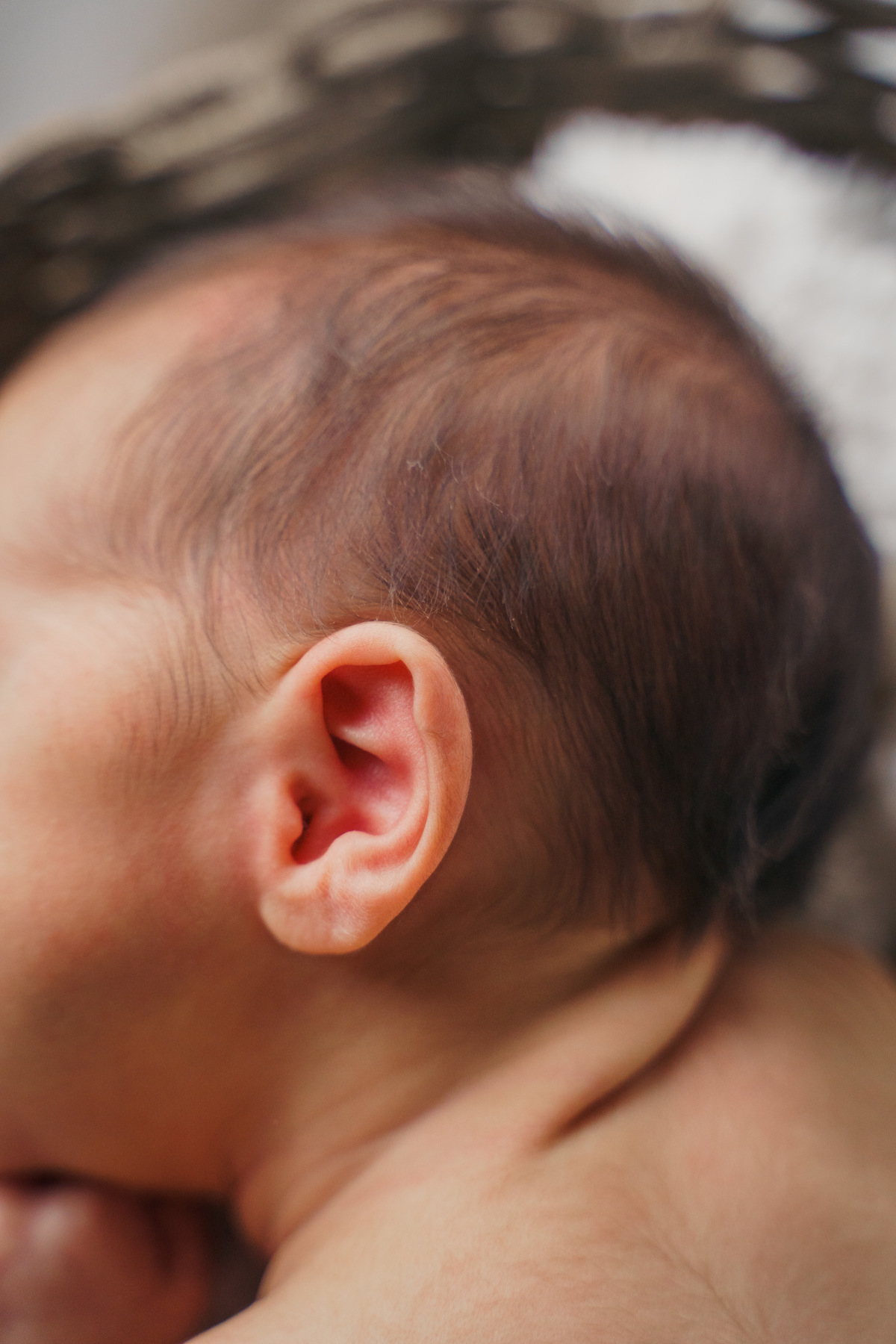 fotografo-em-osorio-felipe-lopes-fotografia-ensaio-de-acompanhamento-1-mes-new-born-em-casa-em-osorio