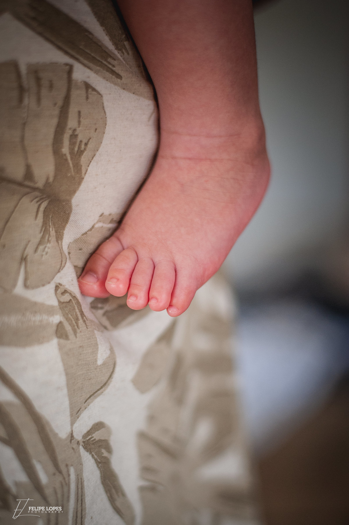 Ensaio em Casa - Familia