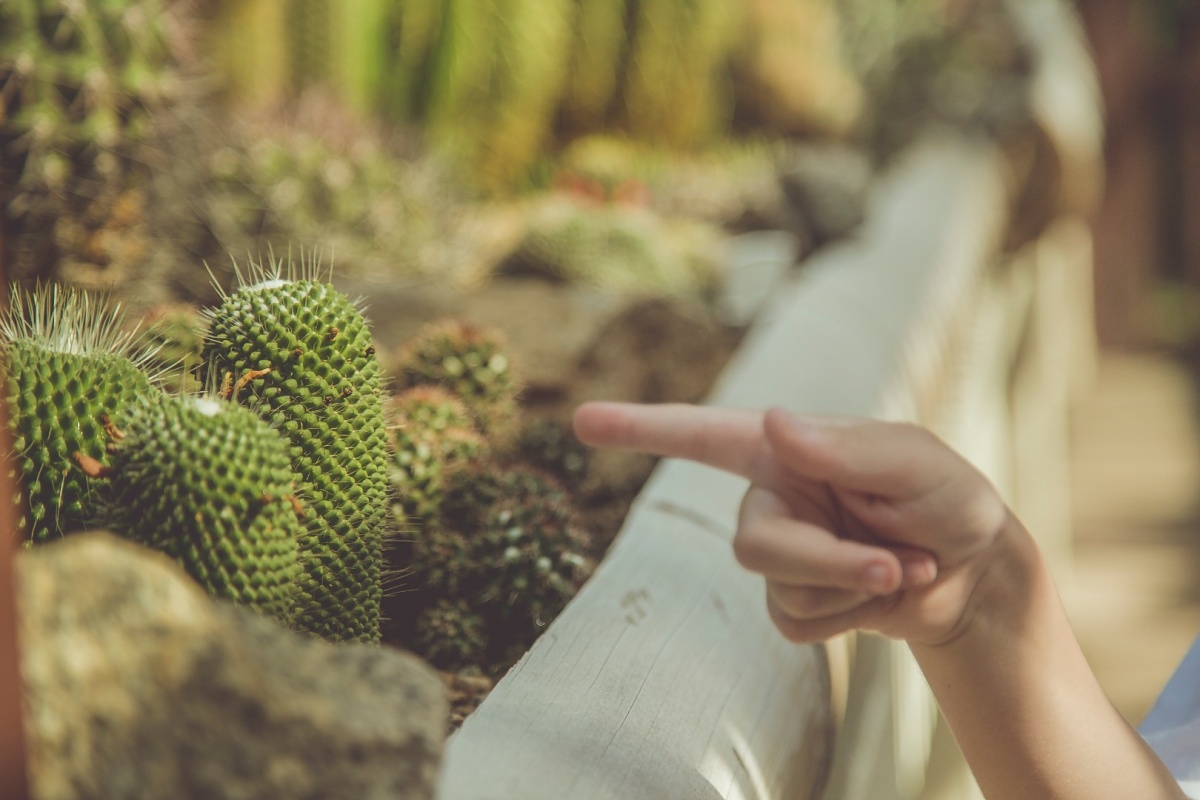 ensaio, família, mãe, pai, filho, beijo, jardim botânico, rio de janeiro, amor, carinho, fotografia, marco brozzo, michelle morelli, rj, parque, dia, luz, criança, ensaio em família