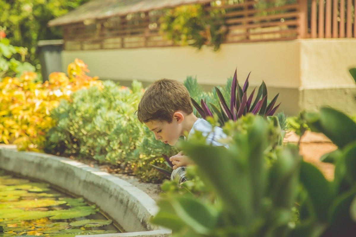 ensaio, família, mãe, pai, filho, beijo, jardim botânico, rio de janeiro, amor, carinho, fotografia, marco brozzo, michelle morelli, rj, parque, dia, luz, criança, ensaio em família