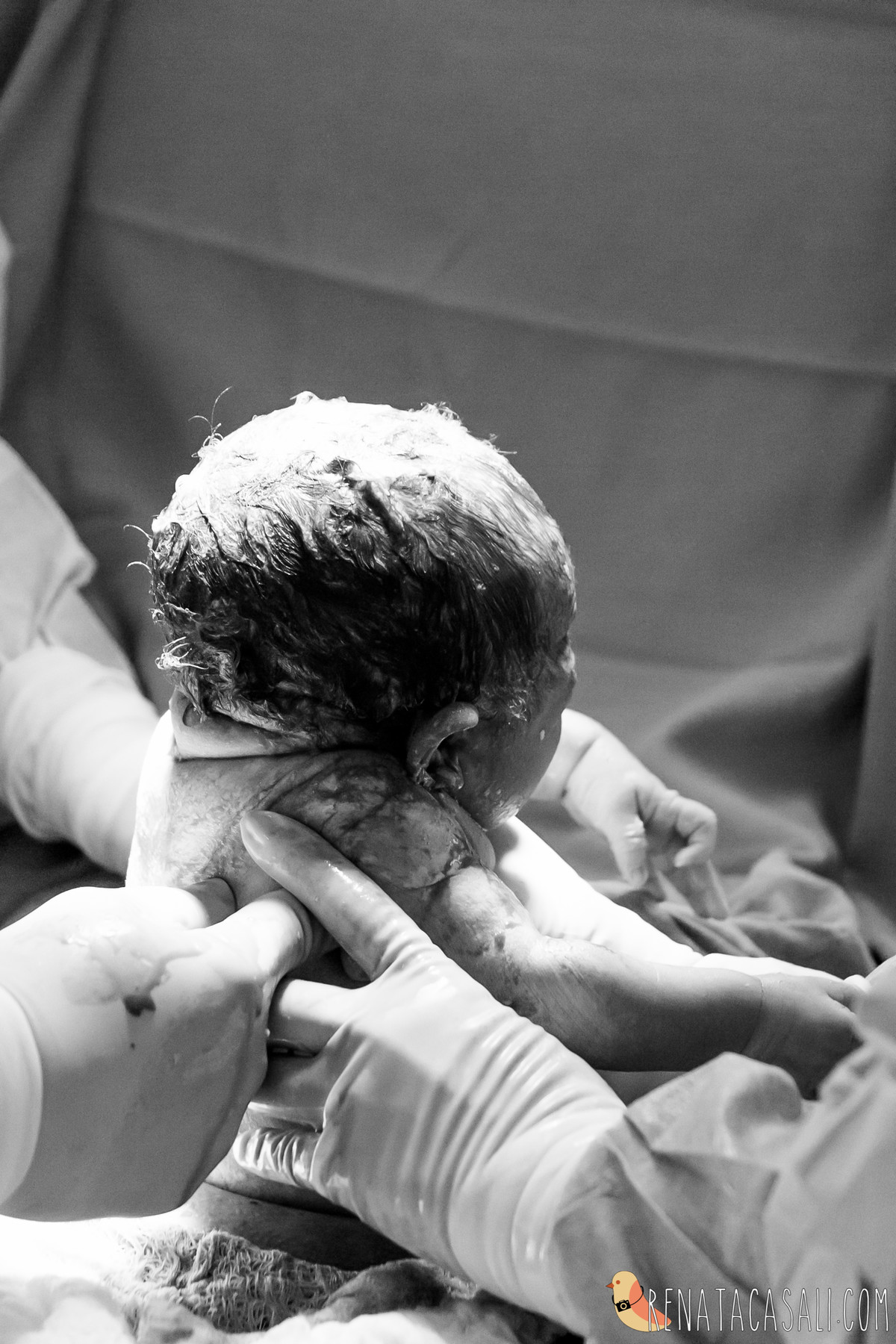 nascimento bebê fotografia de parto renata casali fotógrafa